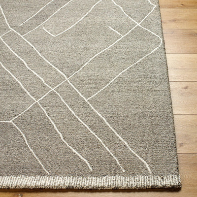 Arsenal ARL-2305 Medium-Gray Area Rug by LIVABLISS