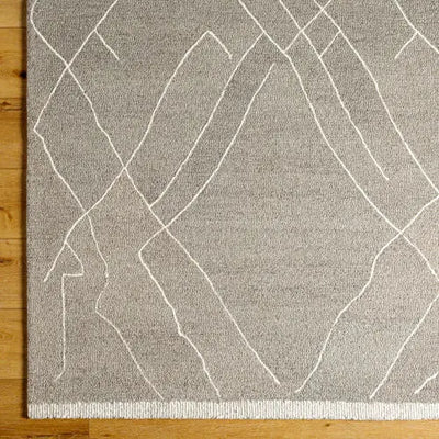 Arsenal ARL-2305 Medium-Gray Area Rug by LIVABLISS