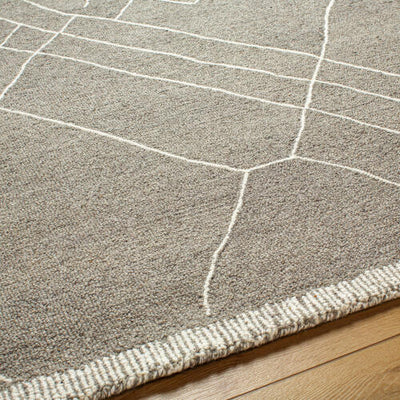 Arsenal ARL-2305 Medium-Gray Area Rug by LIVABLISS