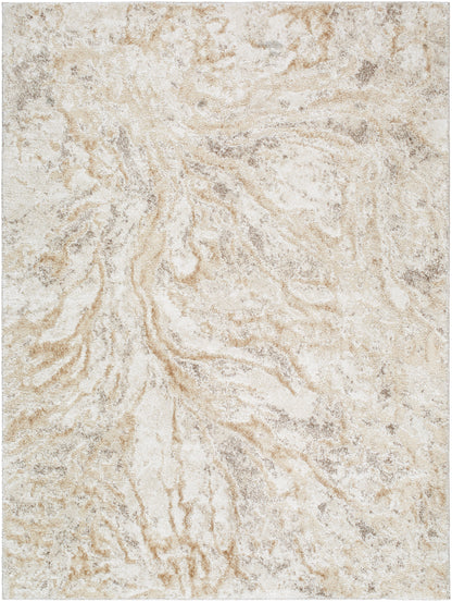Surya Andorra Plus ARP-2300 Light Gray Area Rug by LIVABLISS