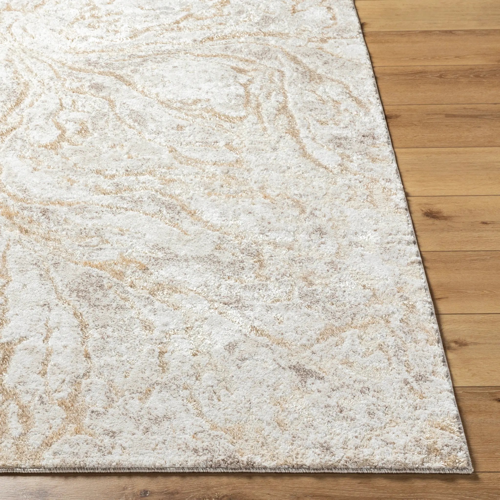 Andorra Plus ARP-2300 Light-Gray Area Rug by LIVABLISS
