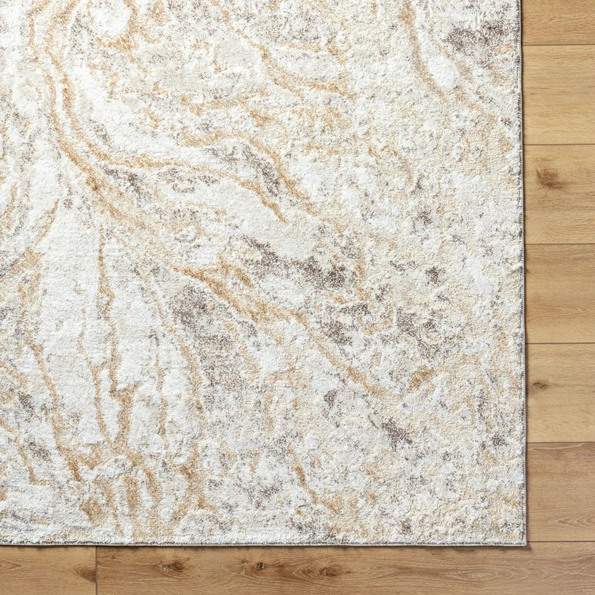 Andorra Plus ARP-2300 Light-Gray Area Rug by LIVABLISS