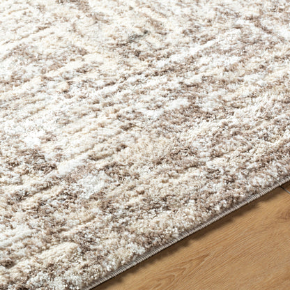 Andorra Plus ARP-2303 Light-Beige Area Rug