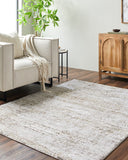 Surya Andorra Plus ARP-2305 Light Gray Area Rug by LIVABLISS