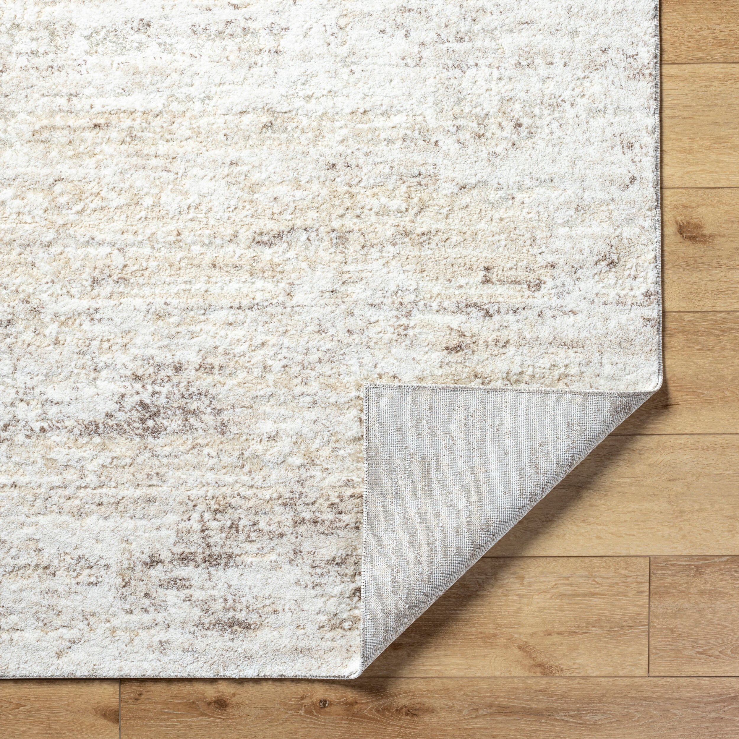Surya Andorra Plus ARP-2305 Light Gray Area Rug by LIVABLISS