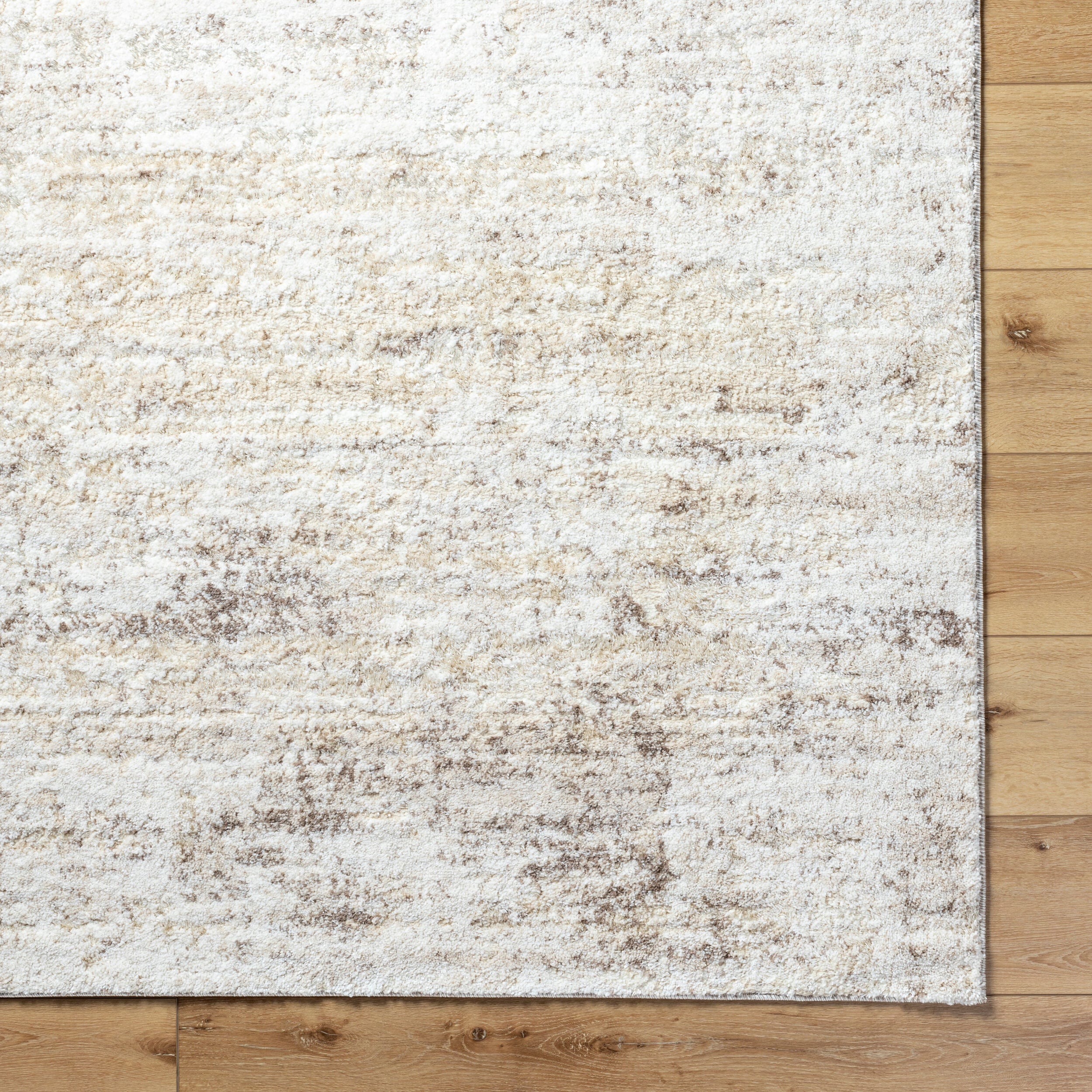 Surya Andorra Plus ARP-2305 Light Gray Area Rug by LIVABLISS