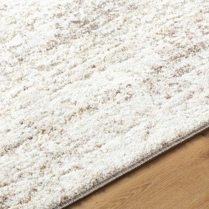 Surya Andorra Plus ARP-2305 Light Gray Area Rug by LIVABLISS