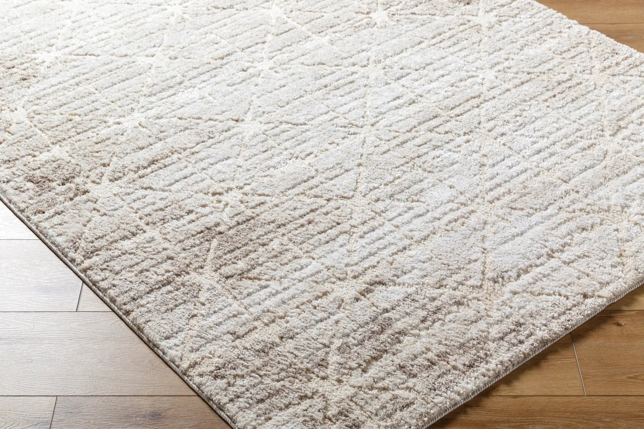 Andorra Plus ARP-2306 Light-Brown Area Rug by LIVABLISS