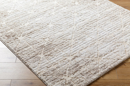 Andorra Plus ARP-2306 Light-Brown Area Rug