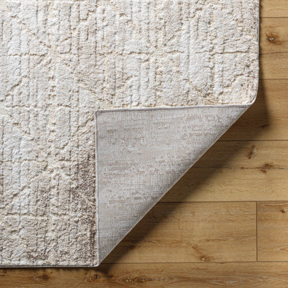 Andorra Plus ARP-2306 Light-Brown Area Rug