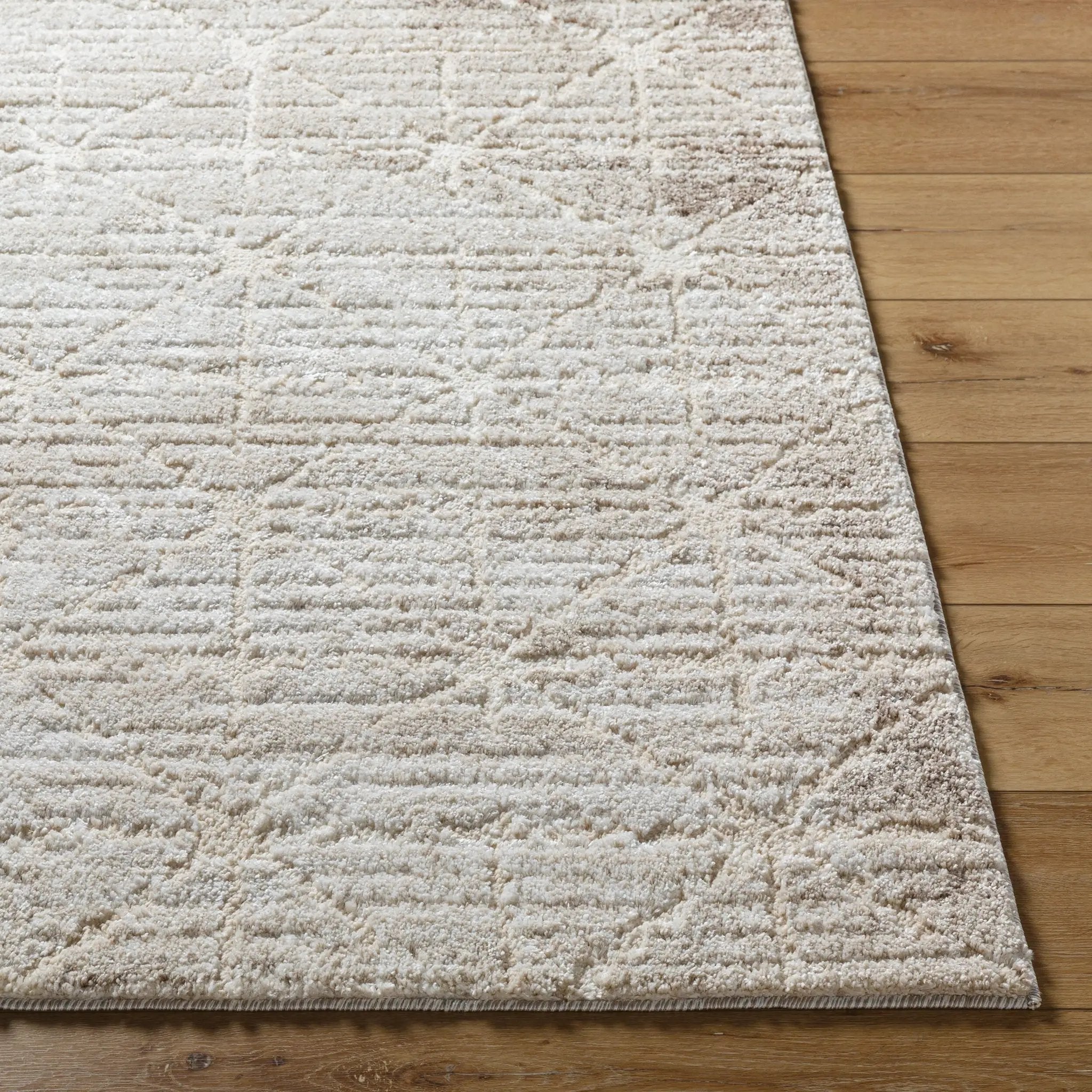 Andorra Plus ARP-2306 Light-Brown Area Rug by LIVABLISS