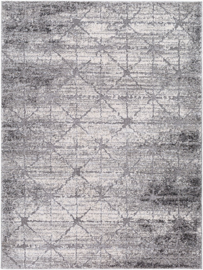 Andorra Plus ARP-2307 Charcoal Area Rug