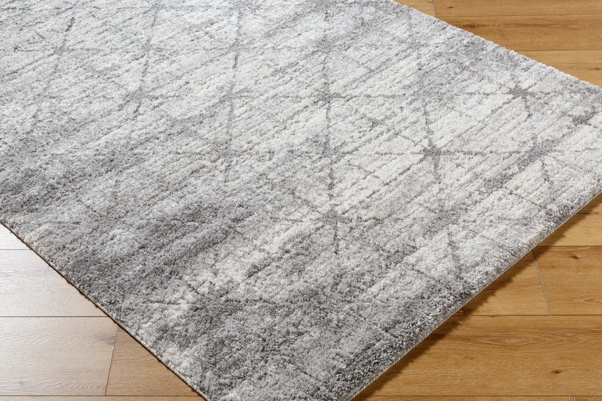 Andorra Plus ARP-2307 Charcoal Area Rug by LIVABLISS