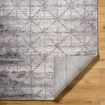 Andorra Plus ARP-2307 Charcoal Area Rug