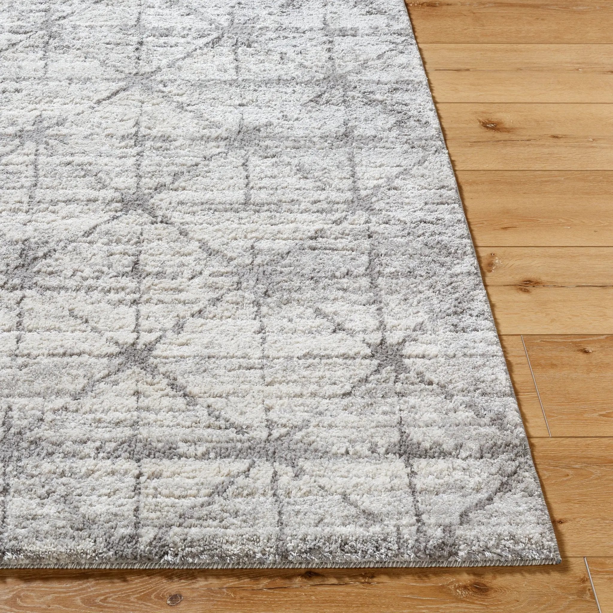 Andorra Plus ARP-2307 Charcoal Area Rug by LIVABLISS