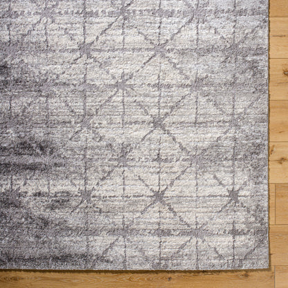Andorra Plus ARP-2307 Charcoal Area Rug