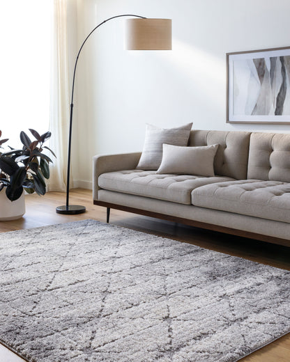 Andorra Plus ARP-2307 Charcoal Area Rug