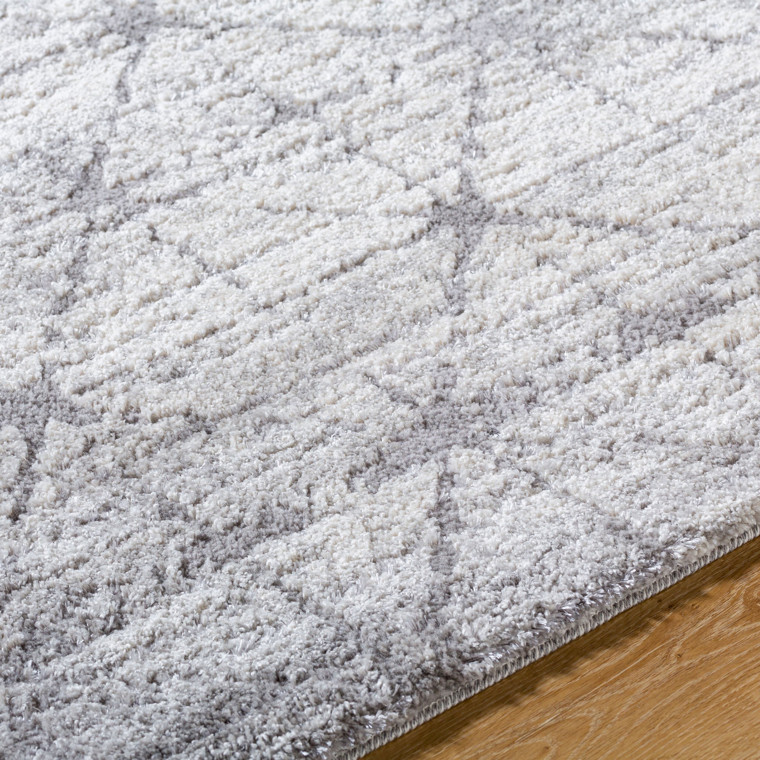 Andorra Plus ARP-2307 Charcoal Area Rug