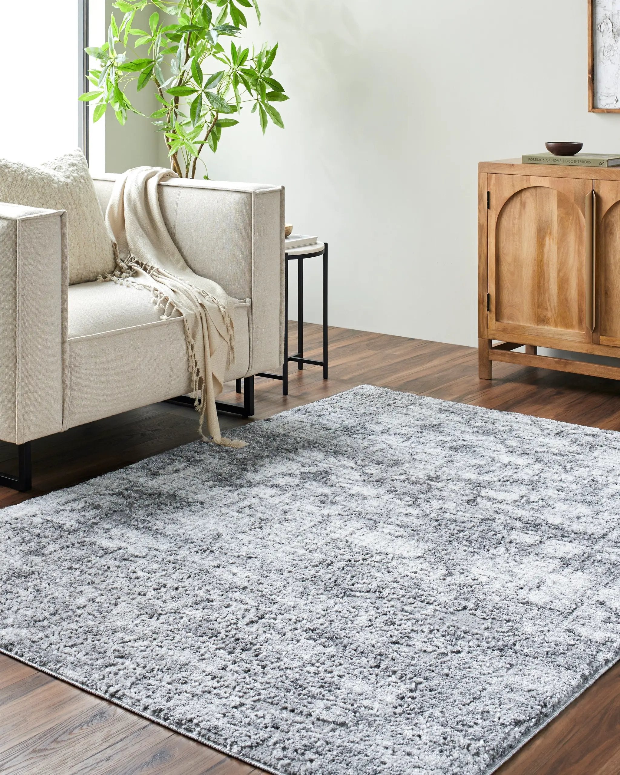 Andorra Plus ARP-2308 Black Area Rug by LIVABLISS