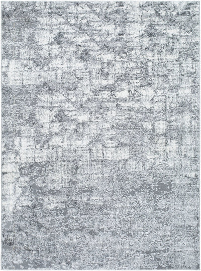 Andorra Plus ARP-2308 Black Area Rug by LIVABLISS