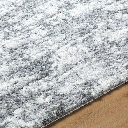 Surya Andorra Plus ARP-2308 Black Area Rug by LIVABLISS