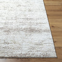 Andorra Plus ARP-2310 Ivory Area Rug