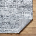 Andorra Plus ARP-2311 Light Gray Area Rug