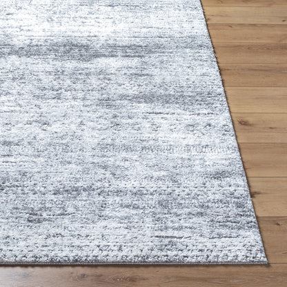 Andorra Plus ARP-2311 Light Gray Area Rug