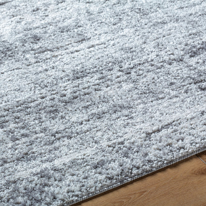 Andorra Plus ARP-2311 Light Gray Area Rug