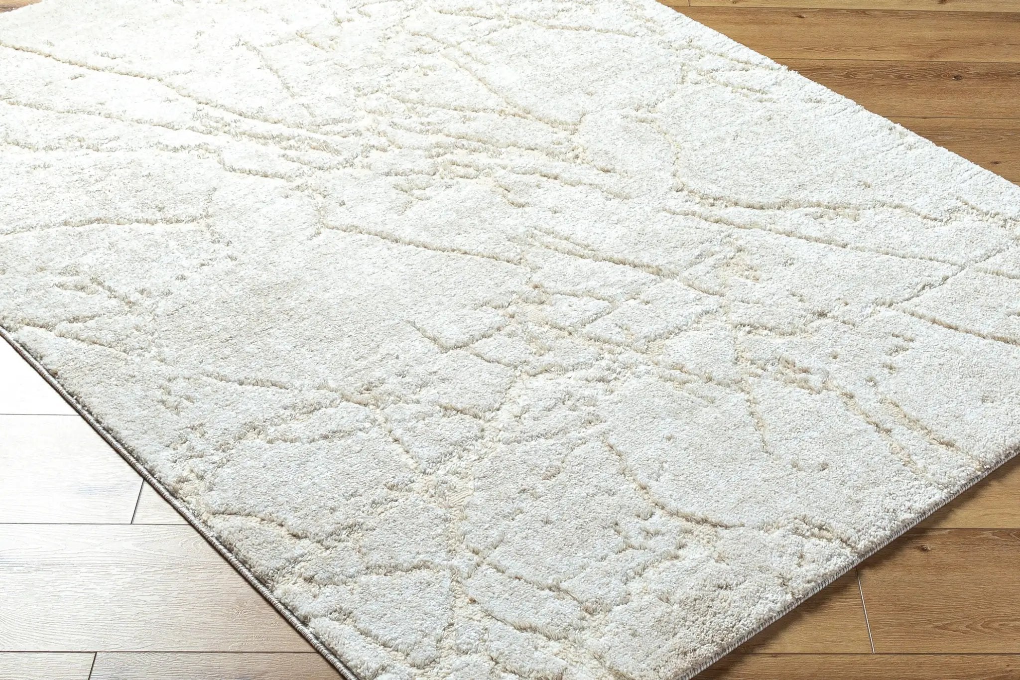 Andorra Plus ARP-2312 White Area Rug by LIVABLISS
