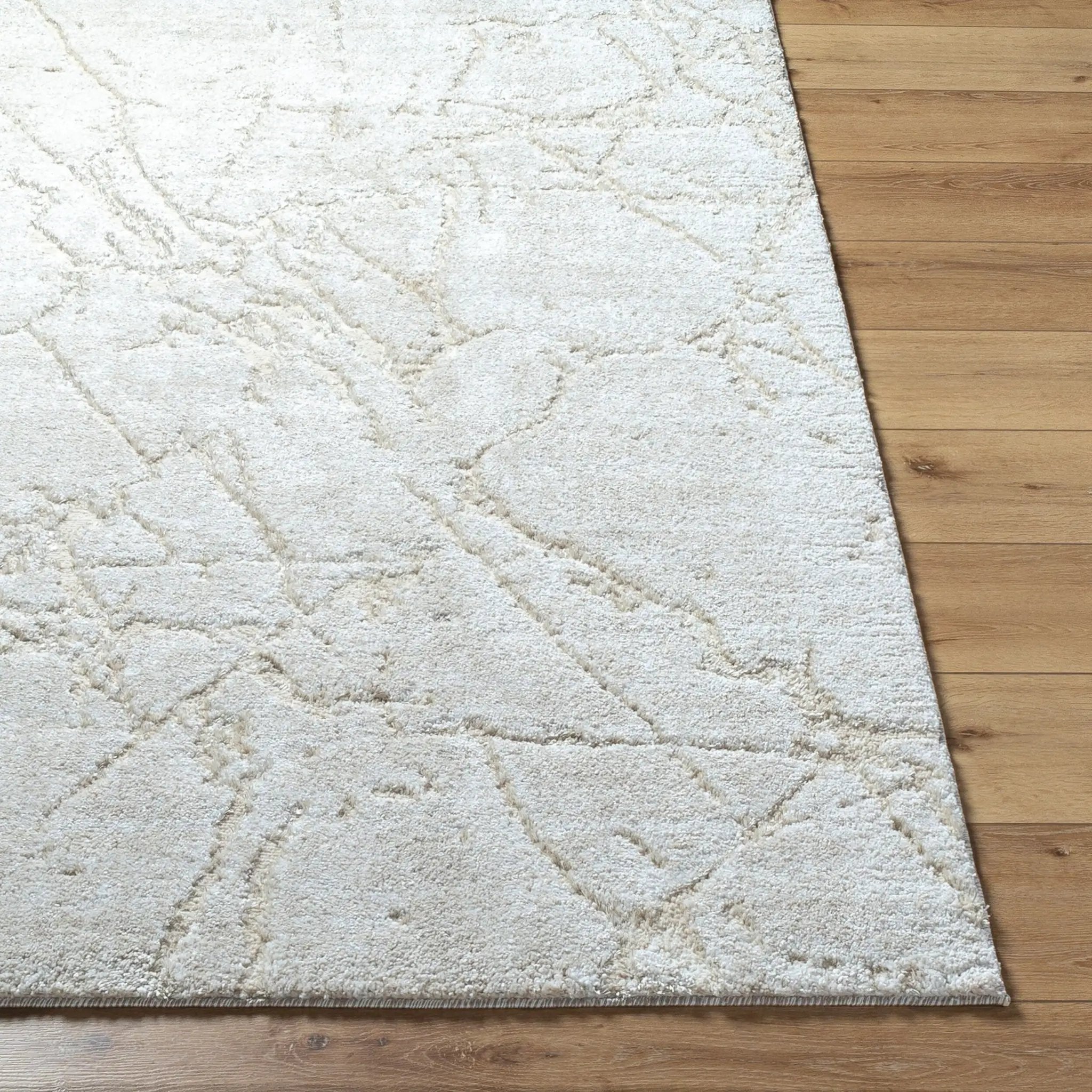Andorra Plus ARP-2312 White Area Rug by LIVABLISS
