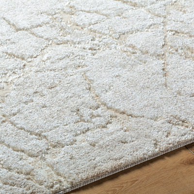 Andorra Plus ARP-2312 White Area Rug