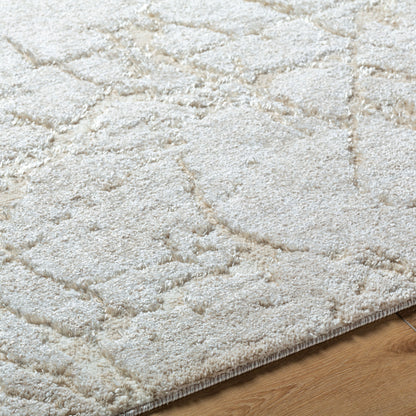 Andorra Plus ARP-2312 White Area Rug