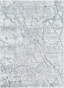 Andorra Plus ARP-2313 Light Gray Area Rug