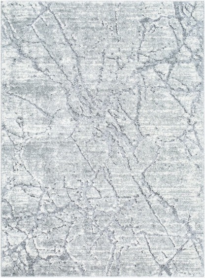 Andorra Plus ARP-2313 Light Gray Area Rug