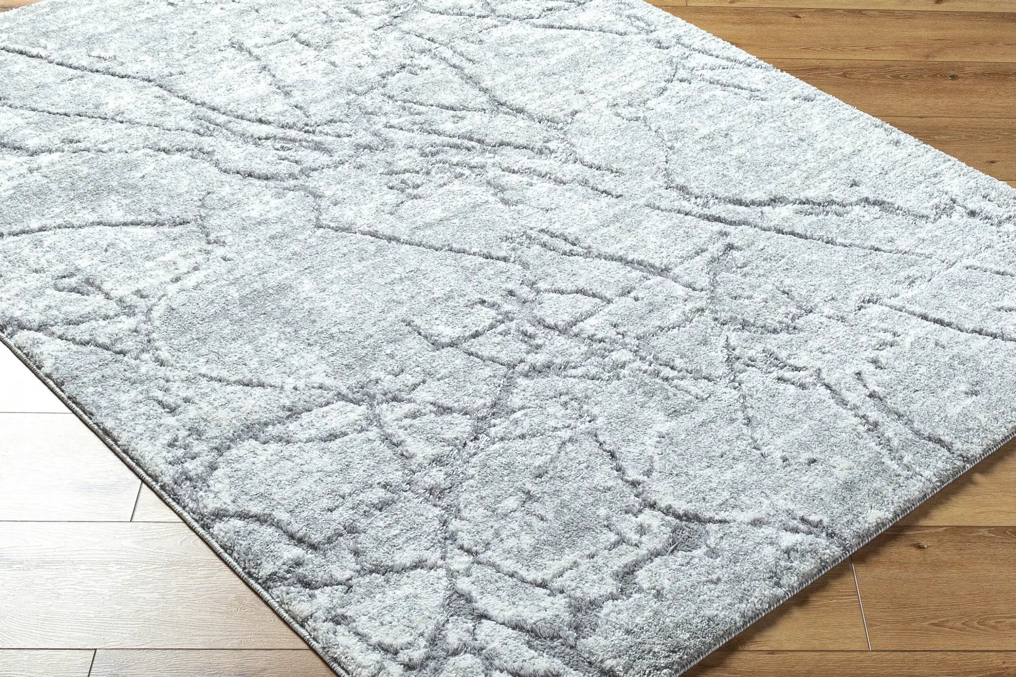 Andorra Plus ARP-2313 Light Gray Area Rug by LIVABLISS