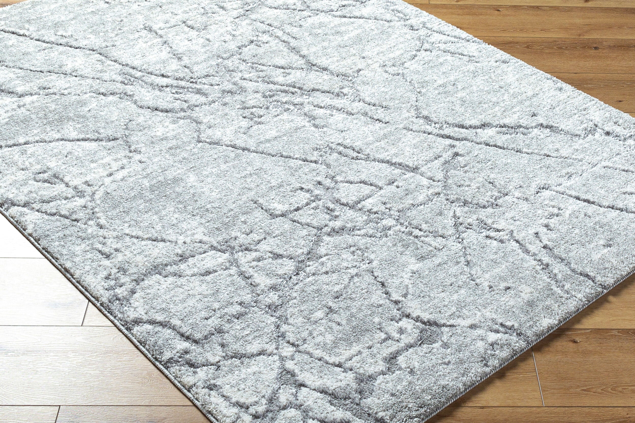 Andorra Plus ARP-2313 Light Gray Area Rug
