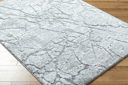 Andorra Plus ARP-2313 Light Gray Area Rug