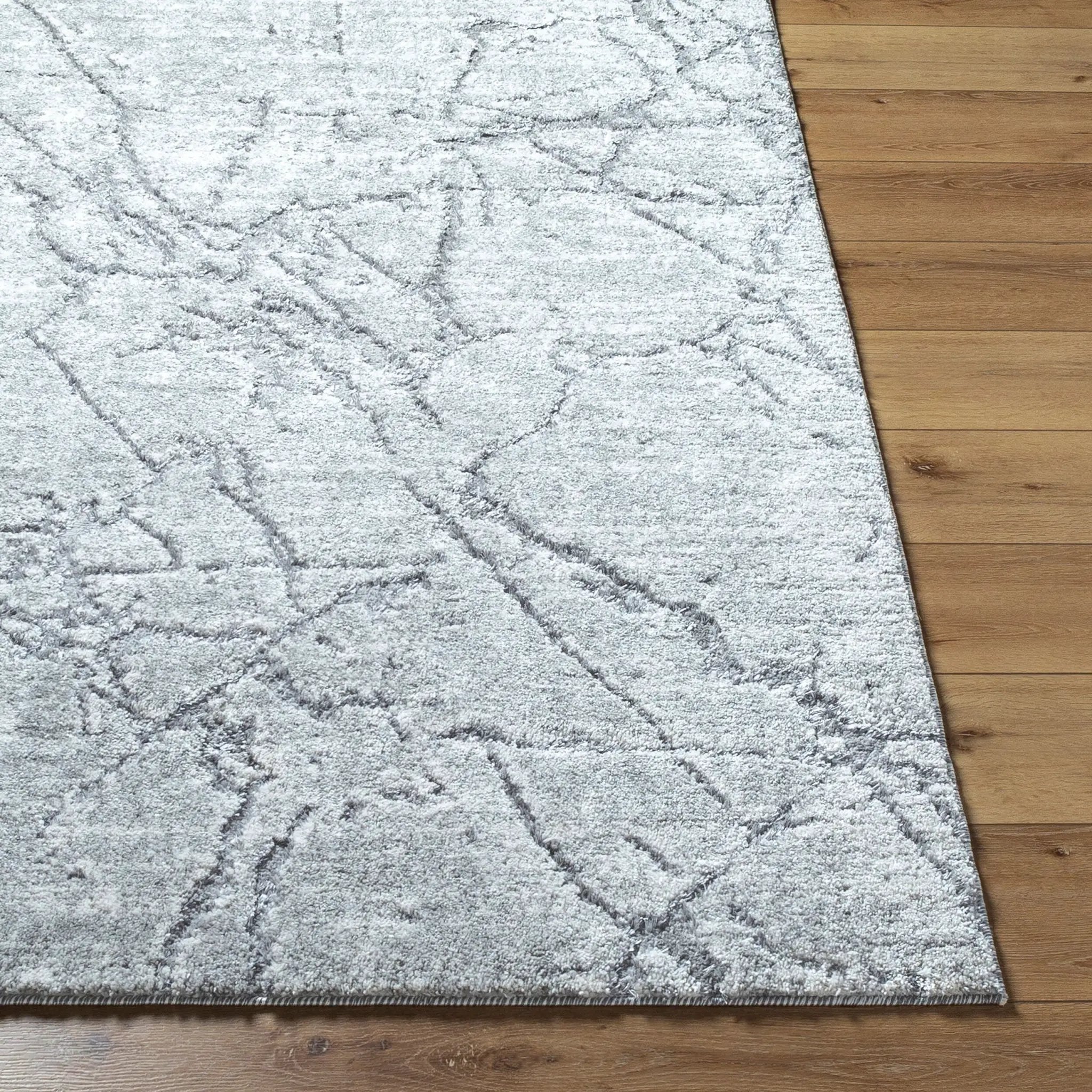 Andorra Plus ARP-2313 Light Gray Area Rug by LIVABLISS