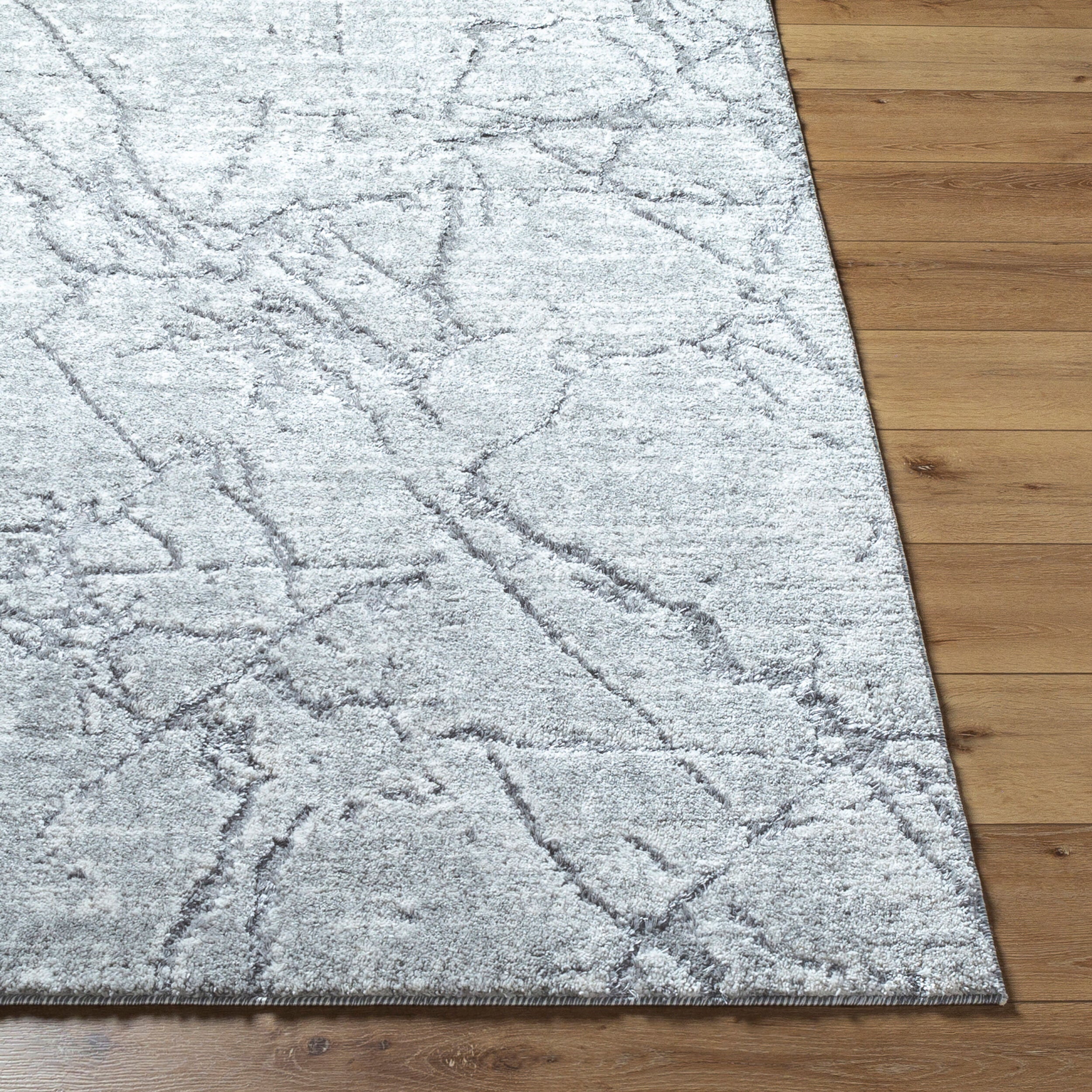 Andorra Plus ARP-2313 Light Gray Area Rug