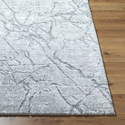Andorra Plus ARP-2313 Light Gray Area Rug