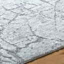 Andorra Plus ARP-2313 Light Gray Area Rug