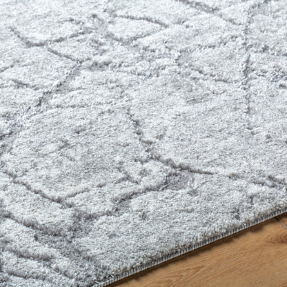 Andorra Plus ARP-2313 Light Gray Area Rug