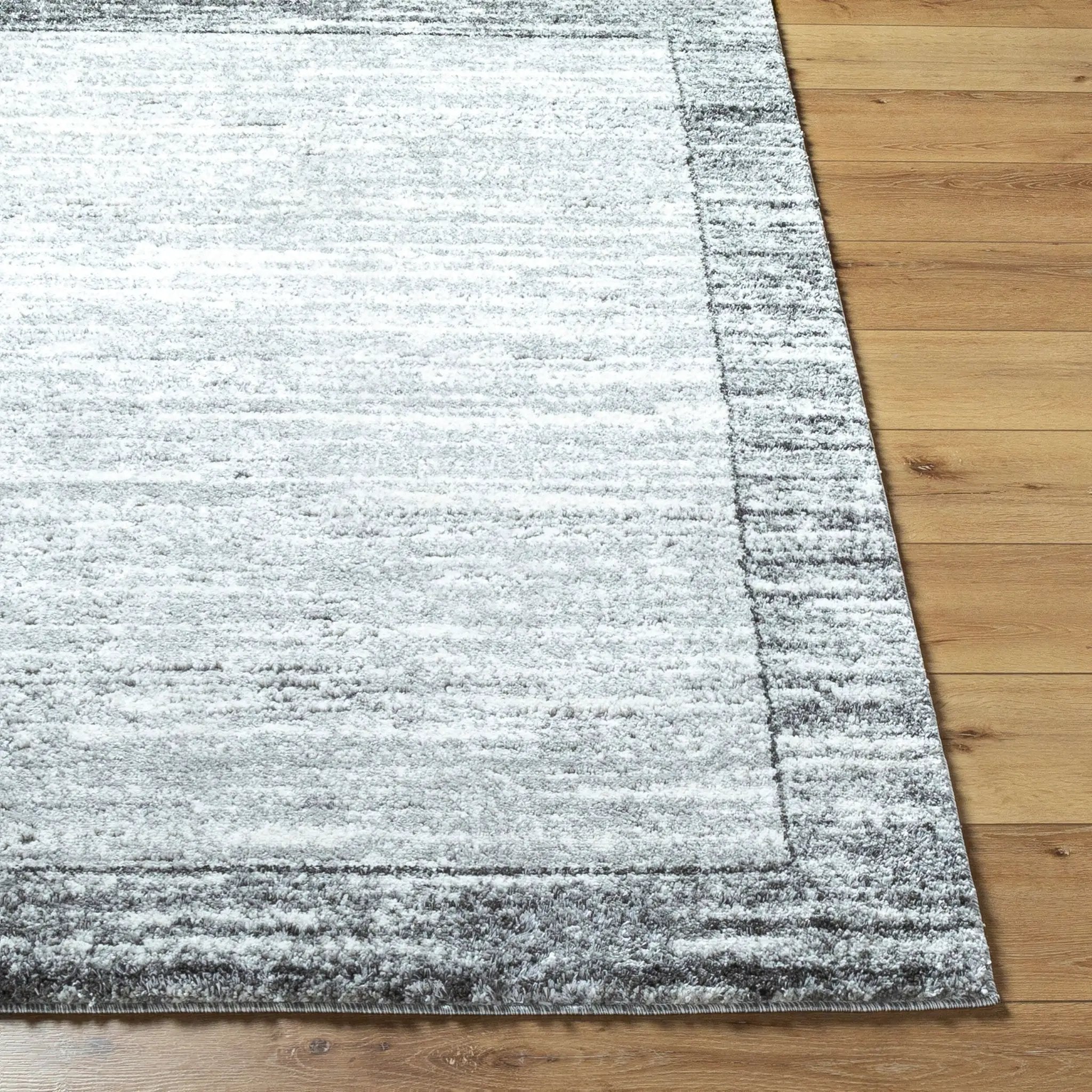 Andorra Plus ARP-2314 Light Gray Area Rug by LIVABLISS