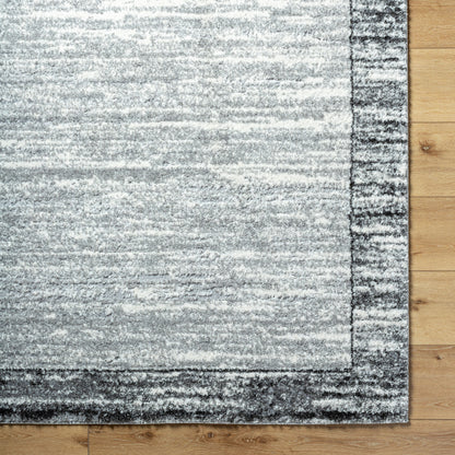 Andorra Plus ARP-2314 Light Gray Area Rug