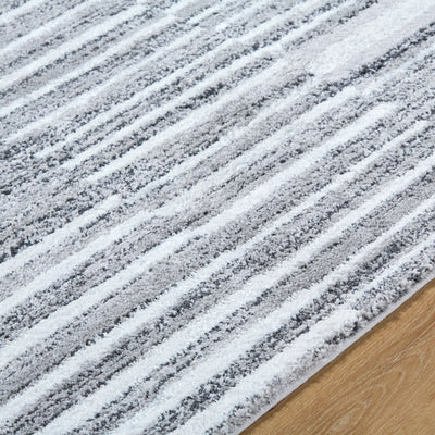 Surya Andorra Plus ARP-2316 Medium Gray Area Rug by LIVABLISS