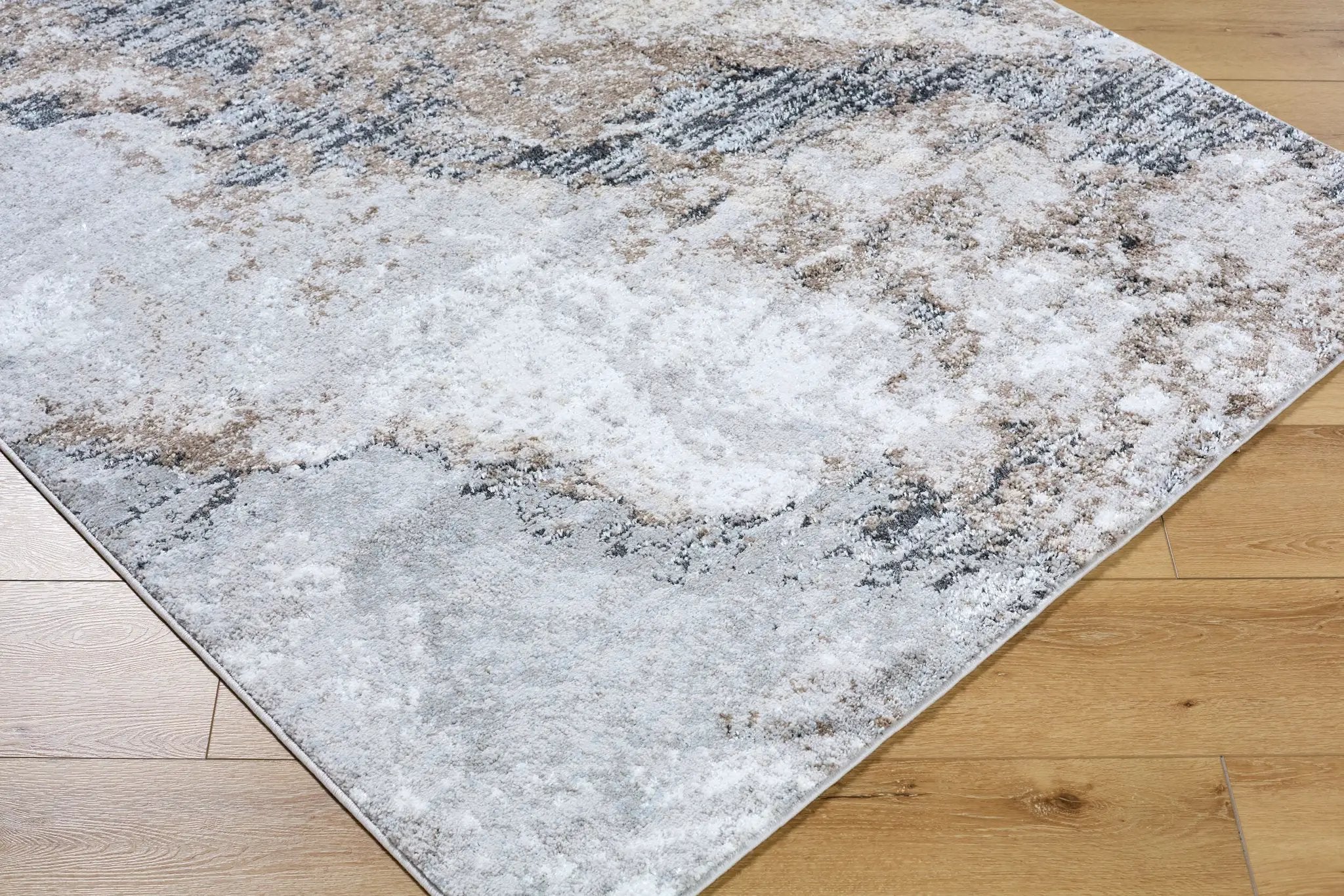 Andorra Plus ARP-2317 Light-Gray Area Rug by LIVABLISS