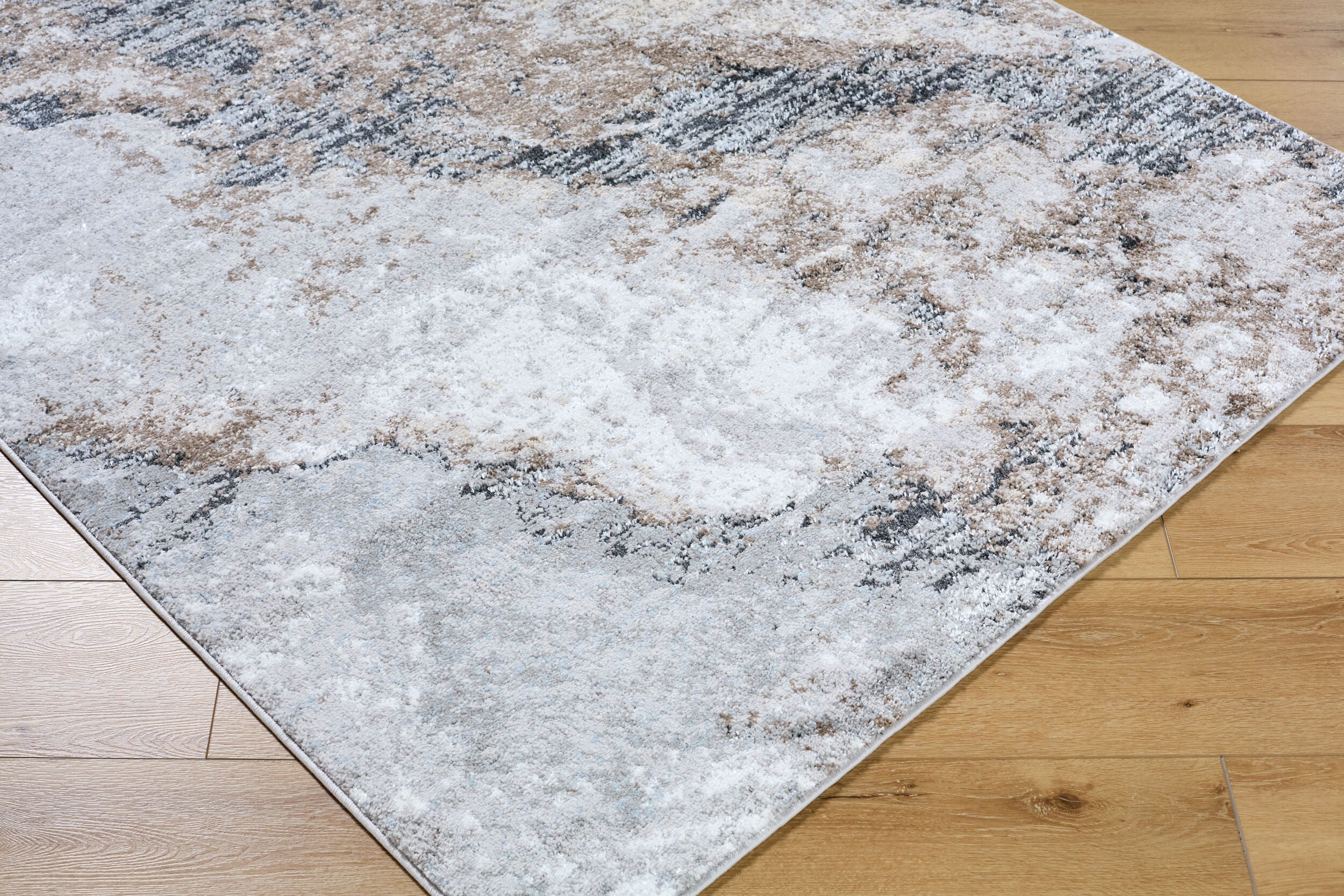 Surya Andorra Plus ARP-2317 Light Gray Area Rug by LIVABLISS
