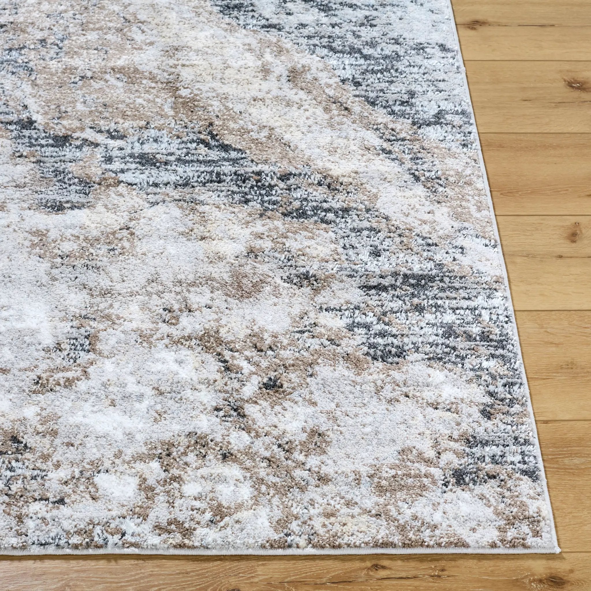 Andorra Plus ARP-2317 Light-Gray Area Rug by LIVABLISS