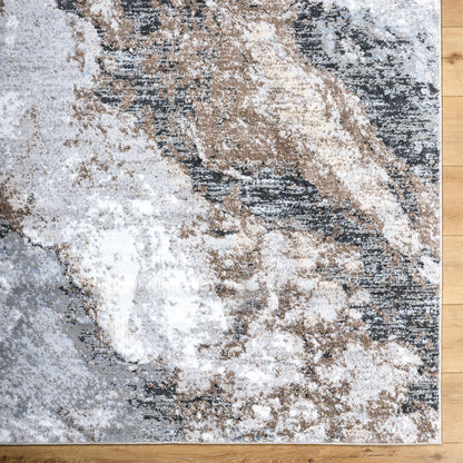 Surya Andorra Plus ARP-2317 Light Gray Area Rug by LIVABLISS